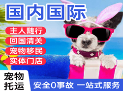 南宁航空托运国际宠物托运 【国